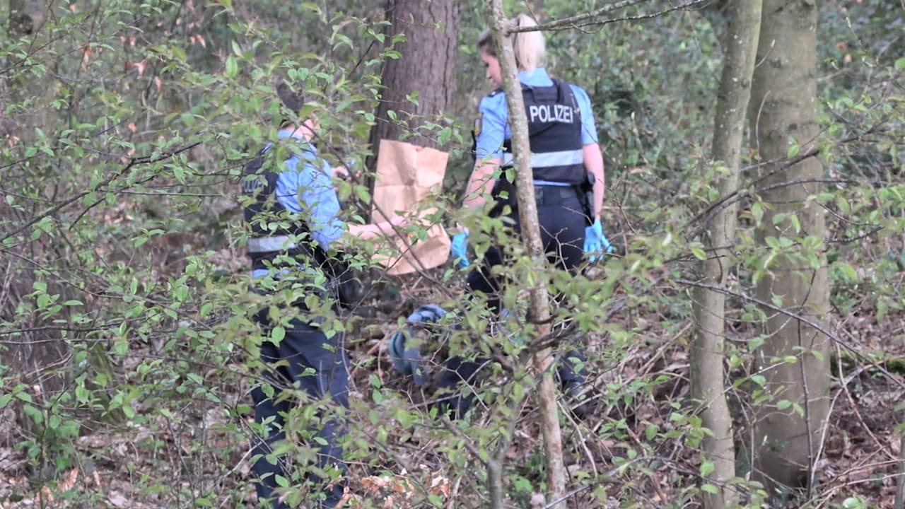 Saarland: Verfolgs-Jagd der Polizei endet mit Suche im Wald | Regional